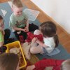 39.Projekt: Idzie, idzie wąż